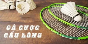 Cách Chơi Cá Cược Cầu Lông ThienHaBet Thú Vị