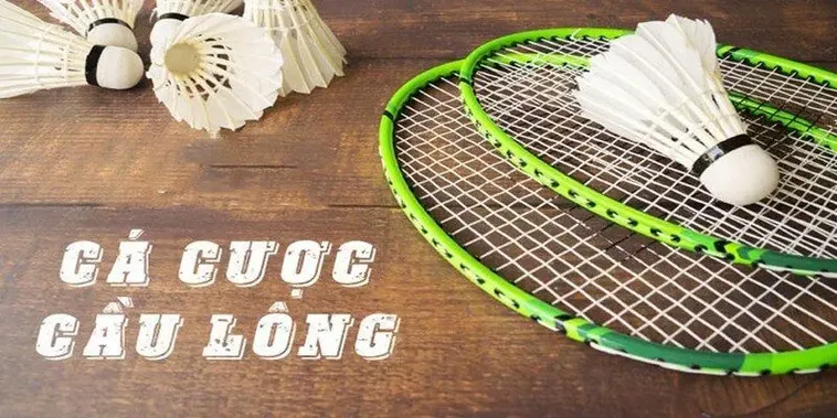 Cách Chơi Cá Cược Cầu Lông ThienHaBet Thú Vị