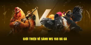 Cách Chơi Đá Gà WS168 Tại ThienHaBet Hiệu Quả Nhất