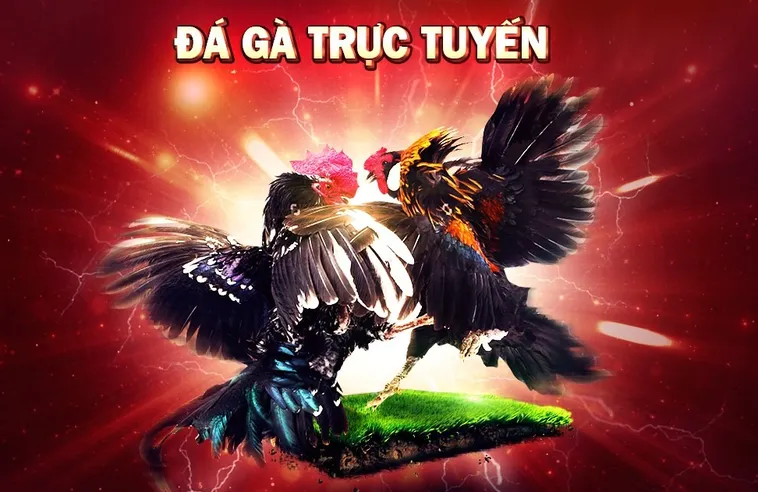 Tìm Hiểu Đá Gà ThienHaBet Với Trải Nghiệm Giải Trí Đỉnh Cao