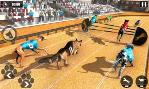 Hướng Dẫn Cách Chơi Game Nhanh Đua Chó Tại ThienHaBet Hấp Dẫn Thú Vị