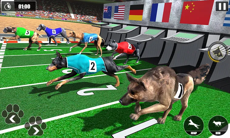 Hướng Dẫn Cách Chơi Game Nhanh Đua Chó Tại ThienHaBet Hấp Dẫn Thú Vị