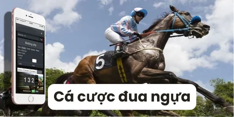 Tìm Hiểu Cá Cược Đua Ngựa ThienHaBet Vui Vẻ Hấp Dẫn