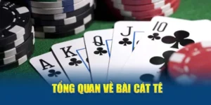 Cách Chơi Sắc Tê Nhà Cái ThienHaBet Thú Vị Cho Người Mới