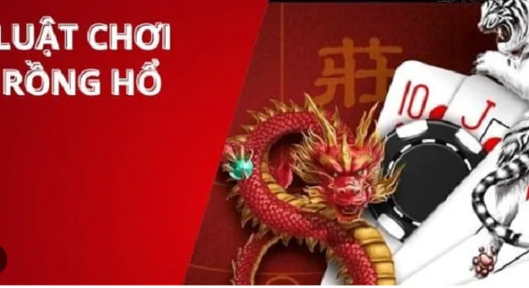 Tìm Hiểu Dragon Tiger Tại ThienHaBet Đơn Giản Vui Nhộn Cơ Hội Thắng Lớn 2 Tìm Hiểu Dragon Tiger Tại ThienHaBet Đơn Giản Vui Nhộn Cơ Hội Thắng Lớn
